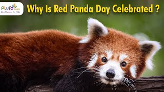 Why is International Red Panda Day celebrated?