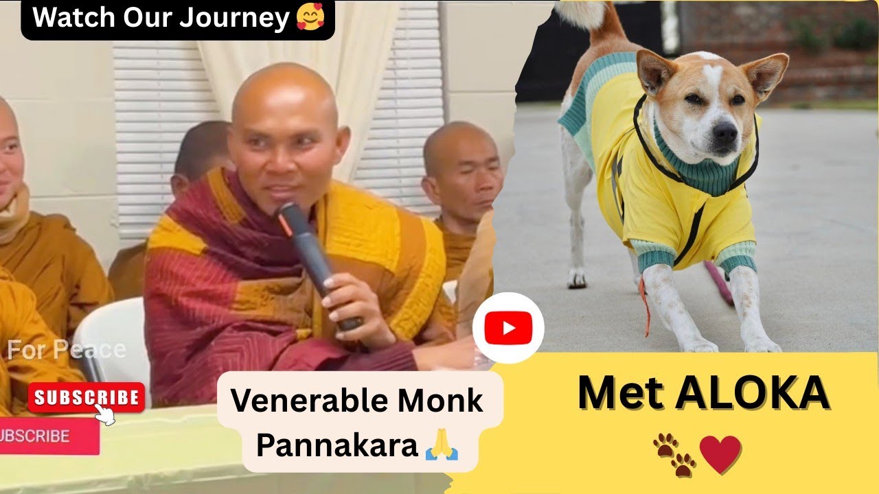 Monk Pannakara 🙏 Meets ALOKA 🐾 A Beautiful Journey 