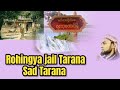 Rohingya new song  rohingya new taranarequested tarana of hf kamal rohingyanewsong