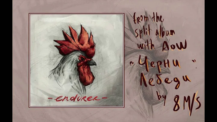 8m/s - Черни Лебеди ( Black Swans ) (Official Audio)