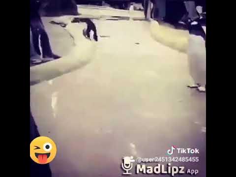 Bollivud porno rasmlar