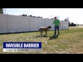 Invisible Barrier Training - Teach your dog to stay in your yard! Invisible Barrier Training - Teach your dog to stay in your yard!