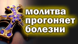 🙏Молитва 20 МАЯ 🙏Пропустишь , потом не жалей! Сильная молитва Пресвятой Богородице! Дева радуйся🙏🙏