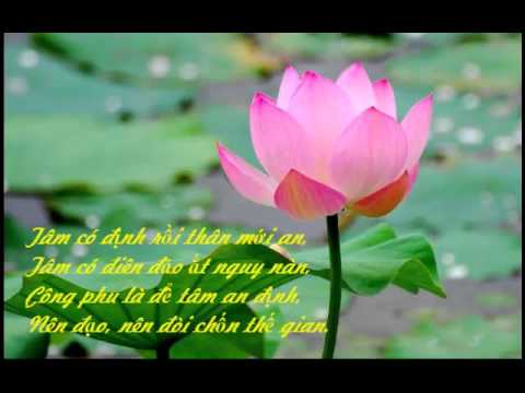 Image result for tâm an định