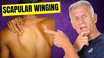 The Shoulder Muscle You’re Not Training — But Should!
