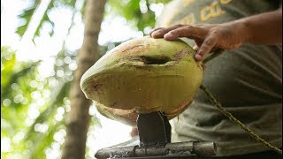 Make a COCONUT Husk Removing Machine - peeler coconut peeling