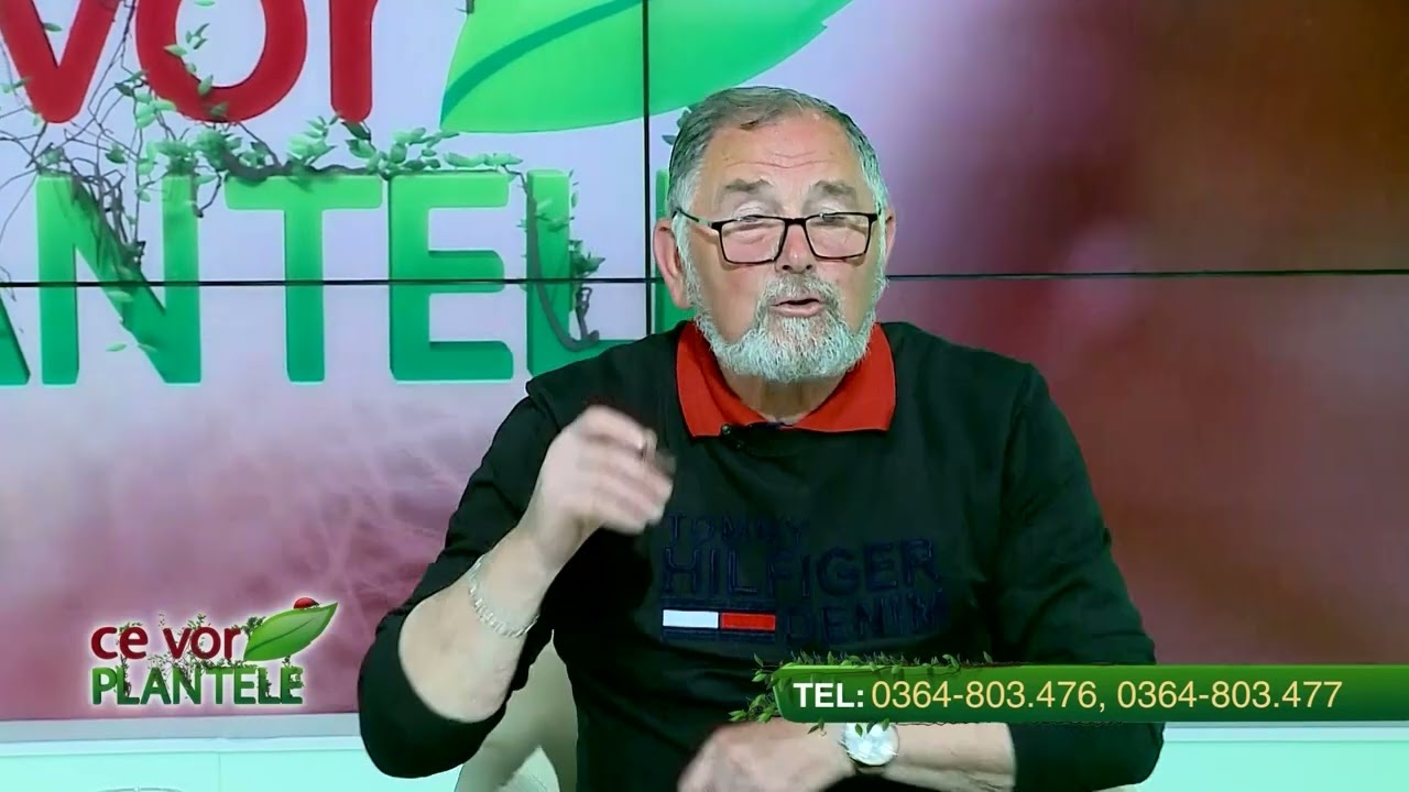VIDEO Dr. Ing Horia Ghibu - Cum scăpăm de afide, păduchii negri de frunză 1 VIDEO Dr. Ing Horia Ghibu - Cum scăpăm de afide, păduchii negri de frunză YouTube player