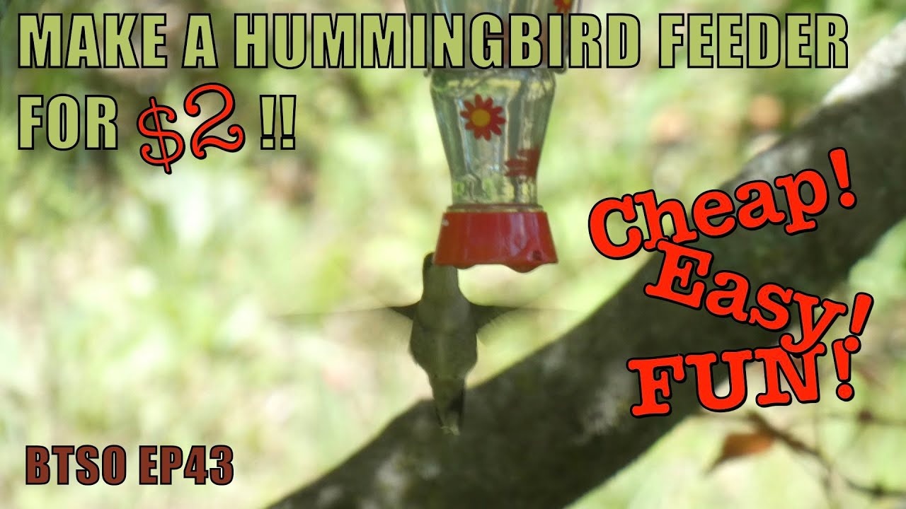 HOW I MADE A HUMMINGBIRD FEEDER FOR 2 BUCKS!! BTSO EP43 - YouTube