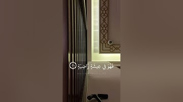 سورة الحاقة مِن تراويح ١٣ رمضان ١٤٤٣هـ بمسجد الشيخة موزة بمملكة البحرين | الشيخ أحمد النفيس.