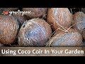 Using Coco Coir As A Soil Amendment In Your Organic Garden