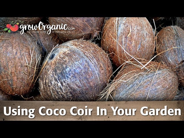 Benefits of Using Coco Coir in the Garden - Organic Gardening Blog