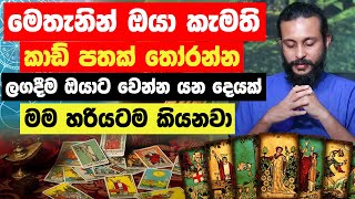 Download Lagu මෙතැනින් ඔයා කැමති කාඩ් පතක් තෝරන්න... ලගදීම ඔයාගේ ජිවිතේ වෙන්න යන දෙයක් මම හරියටම කියන්නම්😱 MP3 Download Lagu මෙතැනින් ඔයා කැමති කාඩ් පතක් තෝරන්න... ලගදීම ඔයාගේ ජිවිතේ වෙන්න යන දෙයක් මම හරියටම කියන්නම්😱 MP3