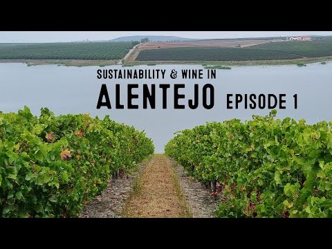 Videó: Inspiring Landscape Project Alentejo, Portugália: Garden in Comporta
