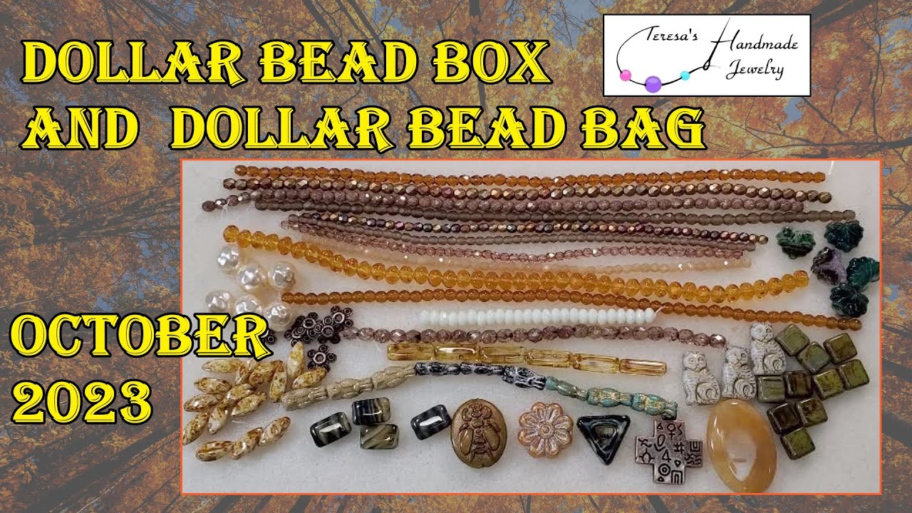 Dollar Bead Box and Dollar Bead Bag Review October 2023 YouTube