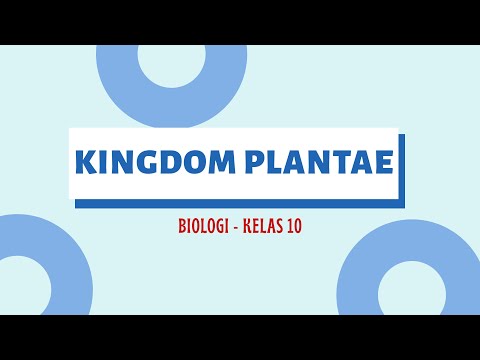 KINGDOM PLANTAE : BIOLOGI KELAS 10 SMA