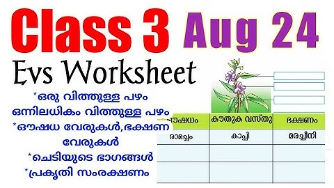 Class 3 Victers Evs August 24 Worksheet/victers class 3 evs worksheet/victers channel std3 worksheet
