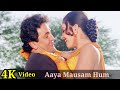 Aaya Mausam Hum Dono 4K Video Song Hum Dono Rishi Kapoor Pooja Bhatt Alka Y Udit Narayan HD Aaya Mausam Hum Dono 4K Video Song Hum Dono Rishi Kapoor Pooja Bhatt Alka Y Udit Narayan HD