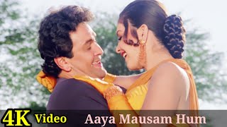 Download Lagu Aaya Mausam Hum Dono 4K Video Song | Hum Dono | Rishi Kapoor, Pooja Bhatt, Alka Y, Udit Narayan HD MP3