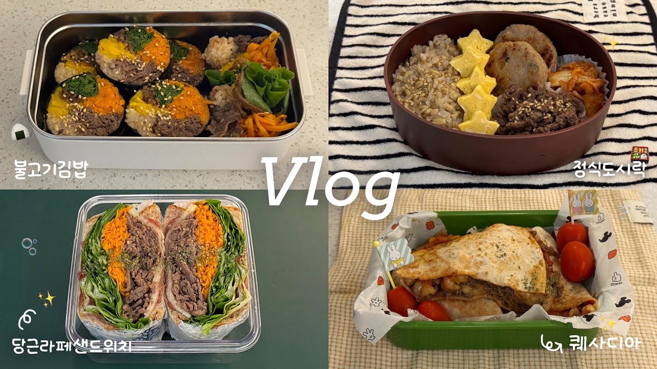 Vlog │ 점심 먹으려고 출근! 불고기로 만든 일주일 직장인 도시락🍱 │ 당근라페샌드위치, 불고기정식, 불고기김밥, 퀘사디아