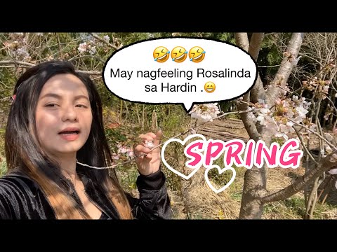 Video: Paano Lumikha Ng Isang Hardin Na May Istilong Hapon