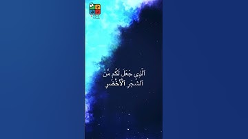 سورة يس #سورة_يس  #تلاوة_هادئة #القرآن_الكريم #راحة_نفسية #تلاوة_خاشعة #تلاوة_مميزة #تلاوة_مؤثرة