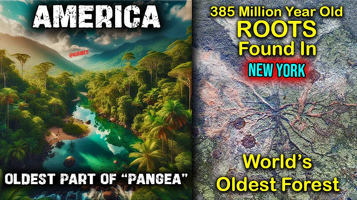 World's Oldest Trees & Forest In New York / Terraforming and Living Things Began In America