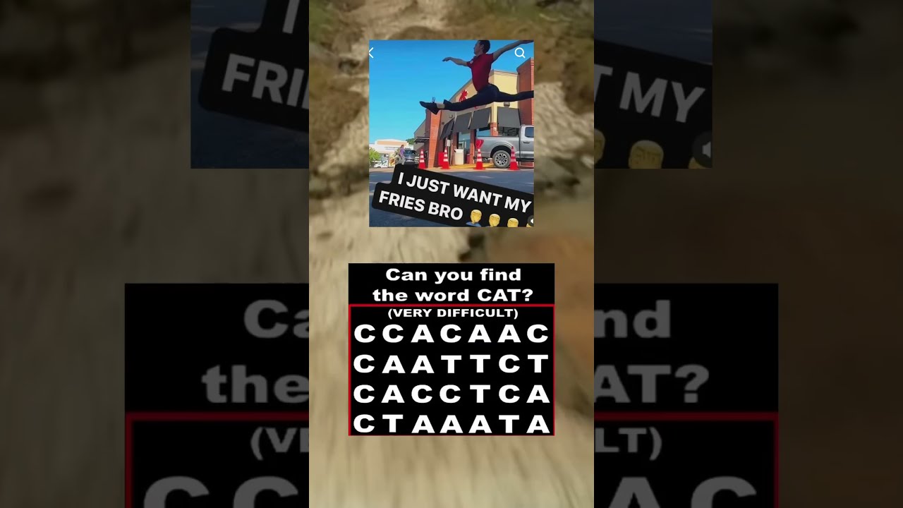 6a Meme Zyxabc Funnymemes Memesdaily