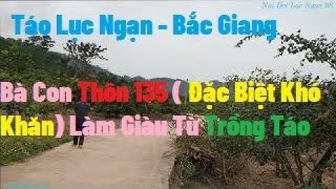 Thăm Vườn Táo Đang Thu Quả Của Các Hộ Dân Thôn Vùng 3 I Nui Doi Luc Ngan 98