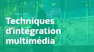 Techniques d'intégration multimédia
