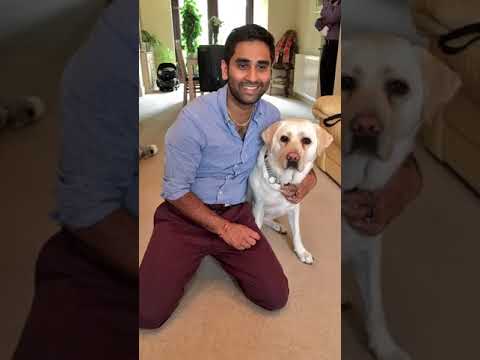 Видео: Глухите инвалиди кучета с диагноза рак става почетен офицер K9