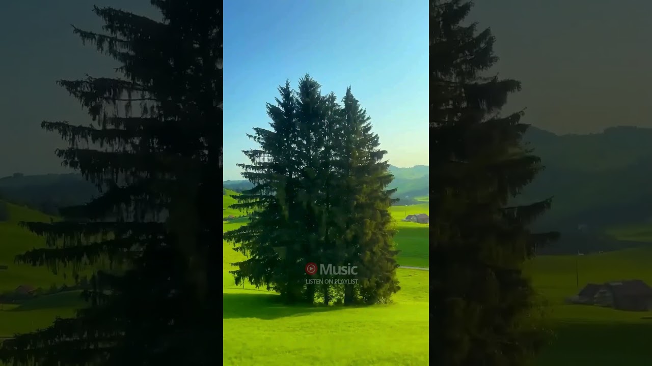 NOW PLAYING Stay _ Tash 