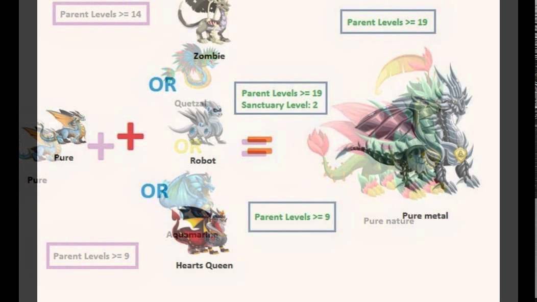 How To Breed A Pure Dragon In Dragon City 7 Steps With