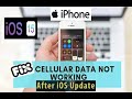 How to Fix iPhone Cellular Data Connectivity Issue after iOS update || iOS 15