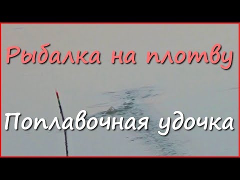 ловля плотвы в сентябре на поплавочную удочку