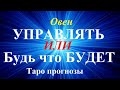 ОВЕН.  Трепыхаться или Будь что Будет? Развитие событий. Ваш выбор. Таро.