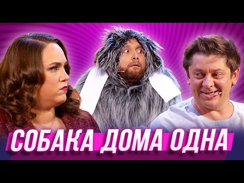 Собака Дома Одна Уральские Пельмени | Азбука Уральских Пельменей - Ш