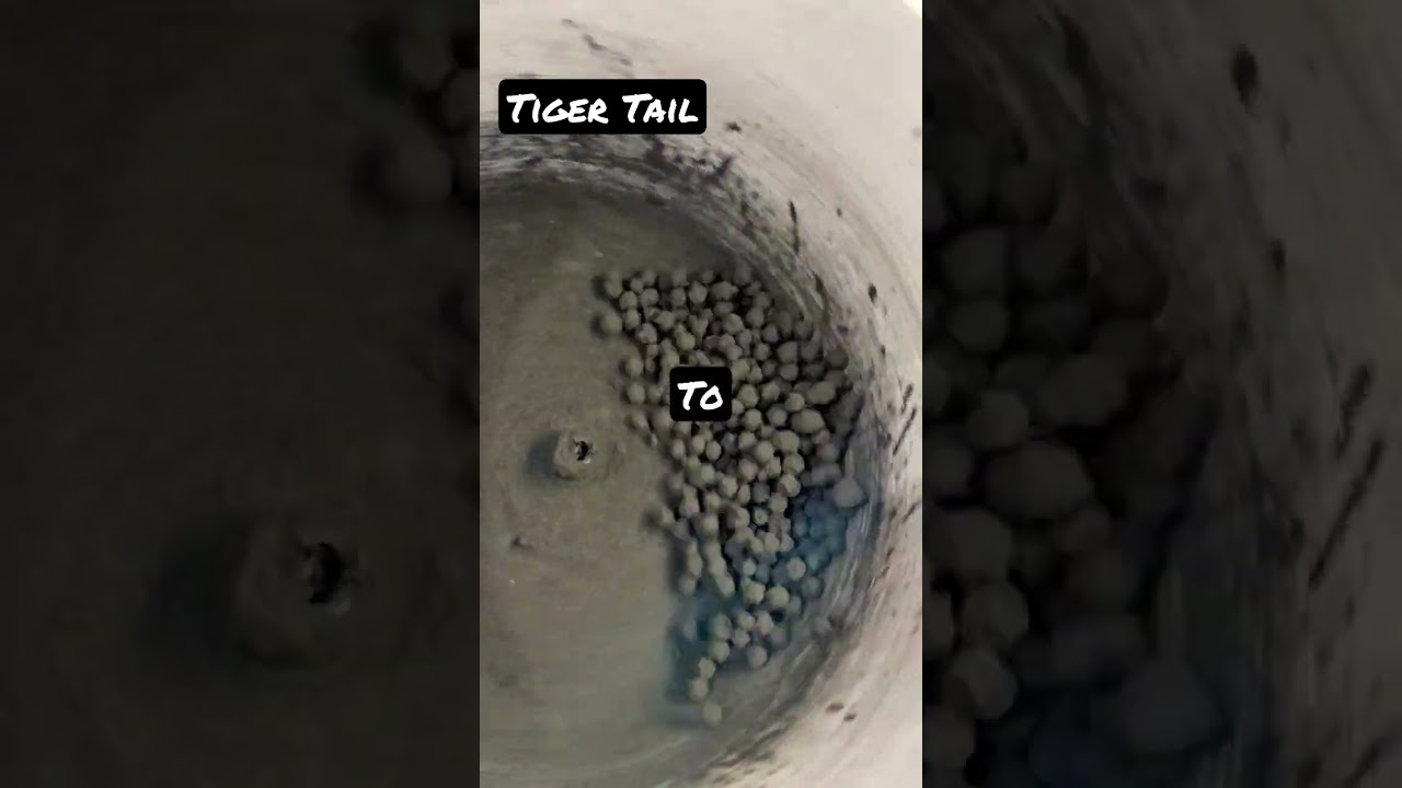 tiger tail to Crackle stars homemade 