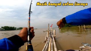 Mancing ikan di spot terbaik ikan keropak/ikan kedukang