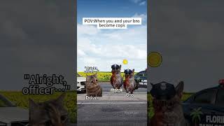 CAT MEMES When you and your bro become cops