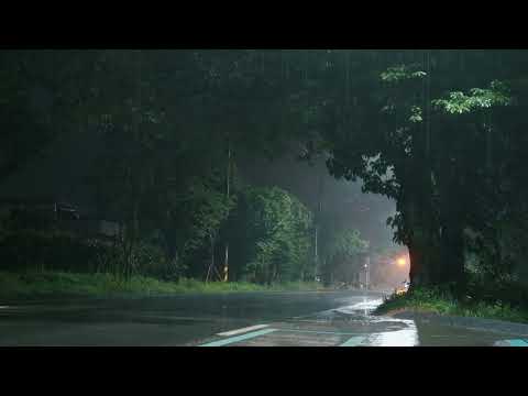 [Rain Sounds] 가로수 숲이 우거진 아름다운 도로에 비마저 내리면 얼마나 더 아름다울까. 빗소리 ASMR
