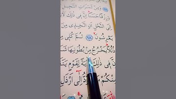 سورة النحل الأية 68 إلى 69 القارئ سعد الغامدي