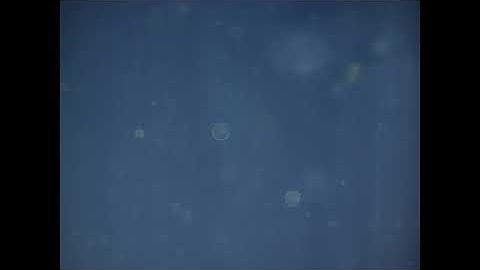 White noise 16bits 44k1ss Test tone WEBM VP9 44k1ss 192kbps