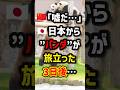 🇨🇳｢嘘だ…｣🇯🇵日本からパンダが旅立った3日後…　#海外の反応