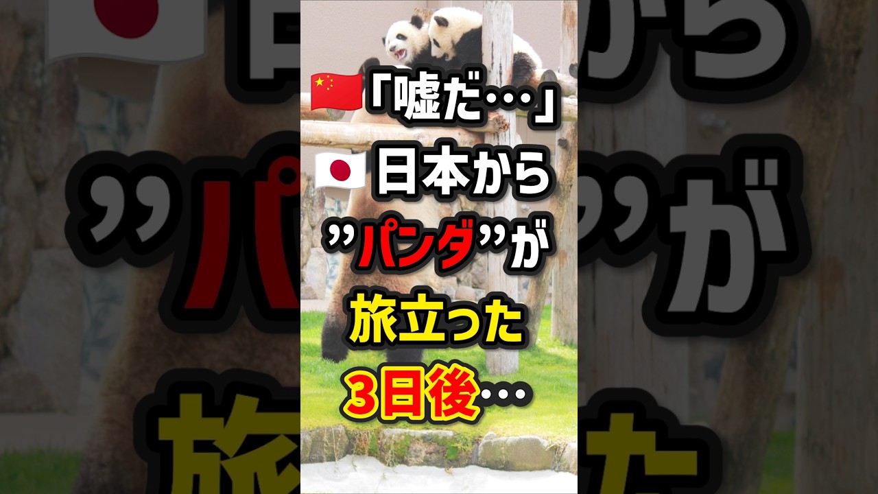 🇨🇳｢嘘だ…｣🇯🇵日本からパンダが旅立った3日後…　#海外の反応