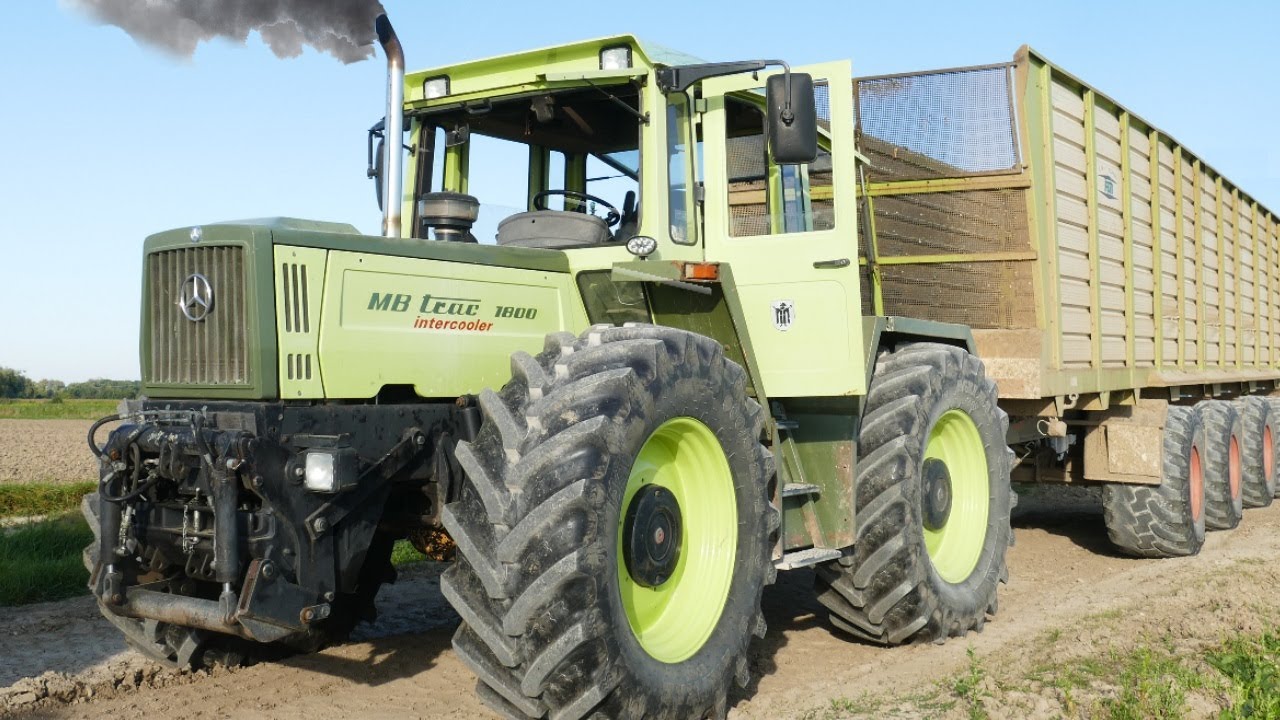 MB Trac 1800 😮 Maishäckseln 2021 mit TRAC Technik - JCB vs. MB Trac 