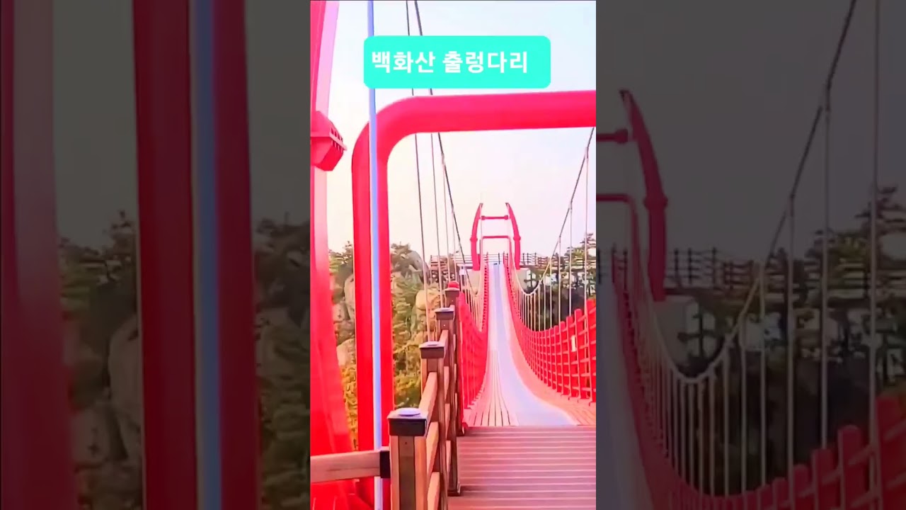 [가볍게 등산하기] 충남 태안 시내 뷰 맛집 백화산 출렁다리