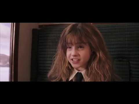 Tayfun Yılmaz Harry Potter Vineları