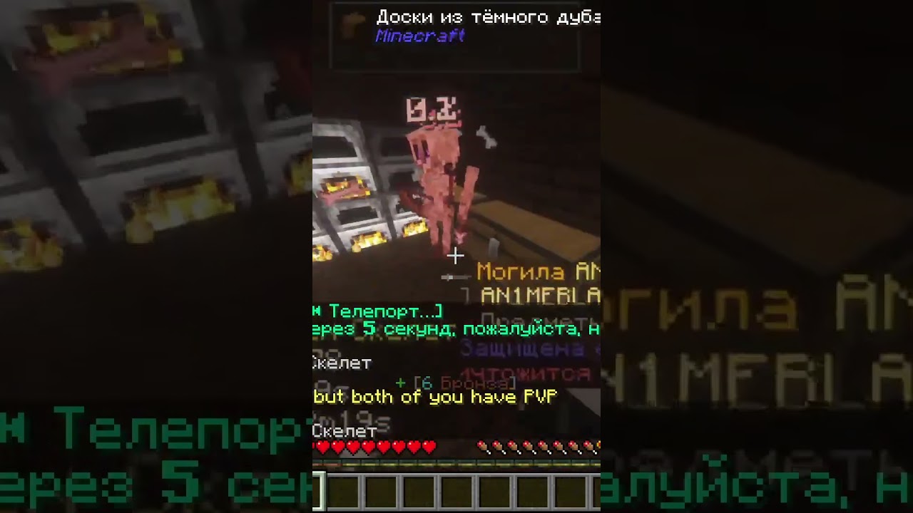 Запустил гуся в чат | 