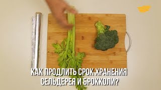 Как продлить срок хранения сельдерея и брокколи Как продлить срок хранения сельдерея и брокколи