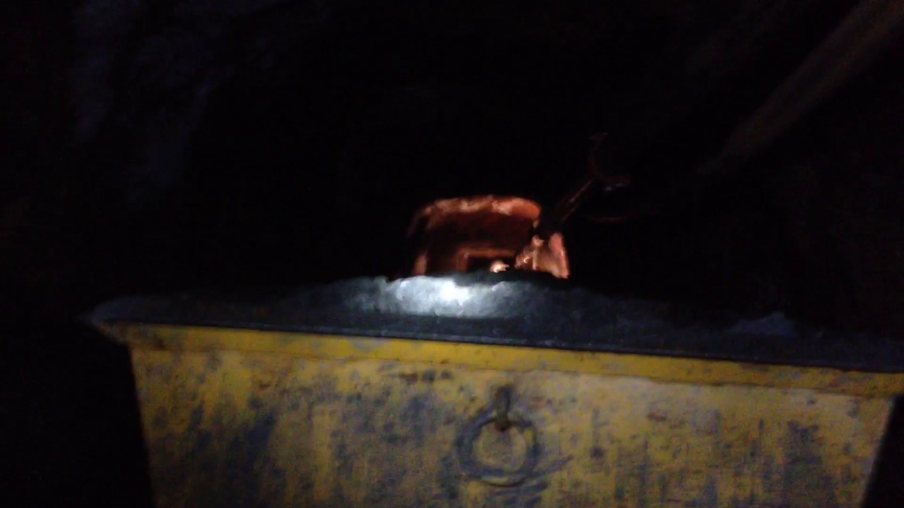 Tramming out with ore, from a mile in. Ruby Mine, Sierra County, CA